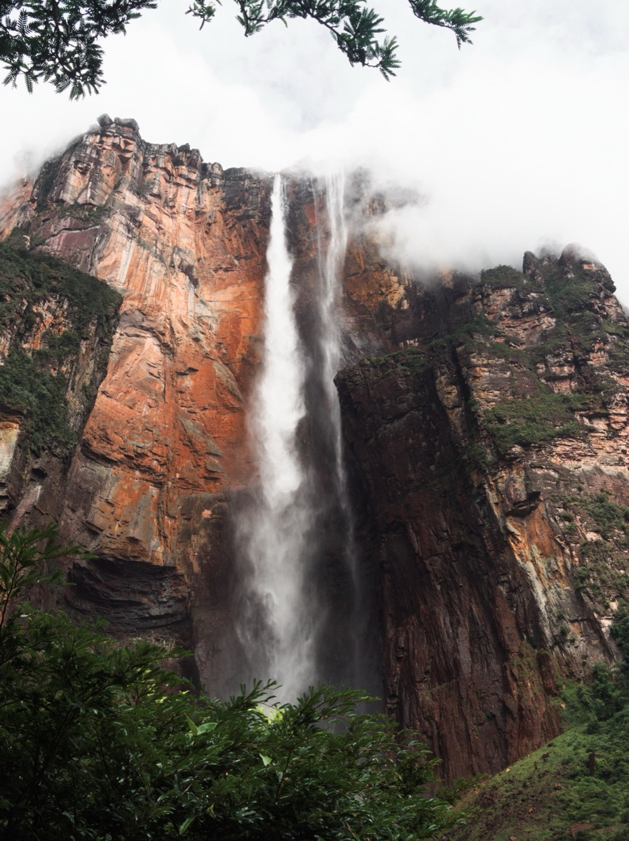 Angel Falls in Venezuela seen from the Mirador Laime viewpoint, its narrow stream dropping from the cliff edge of Auyán-tepui into a mist-filled gorge