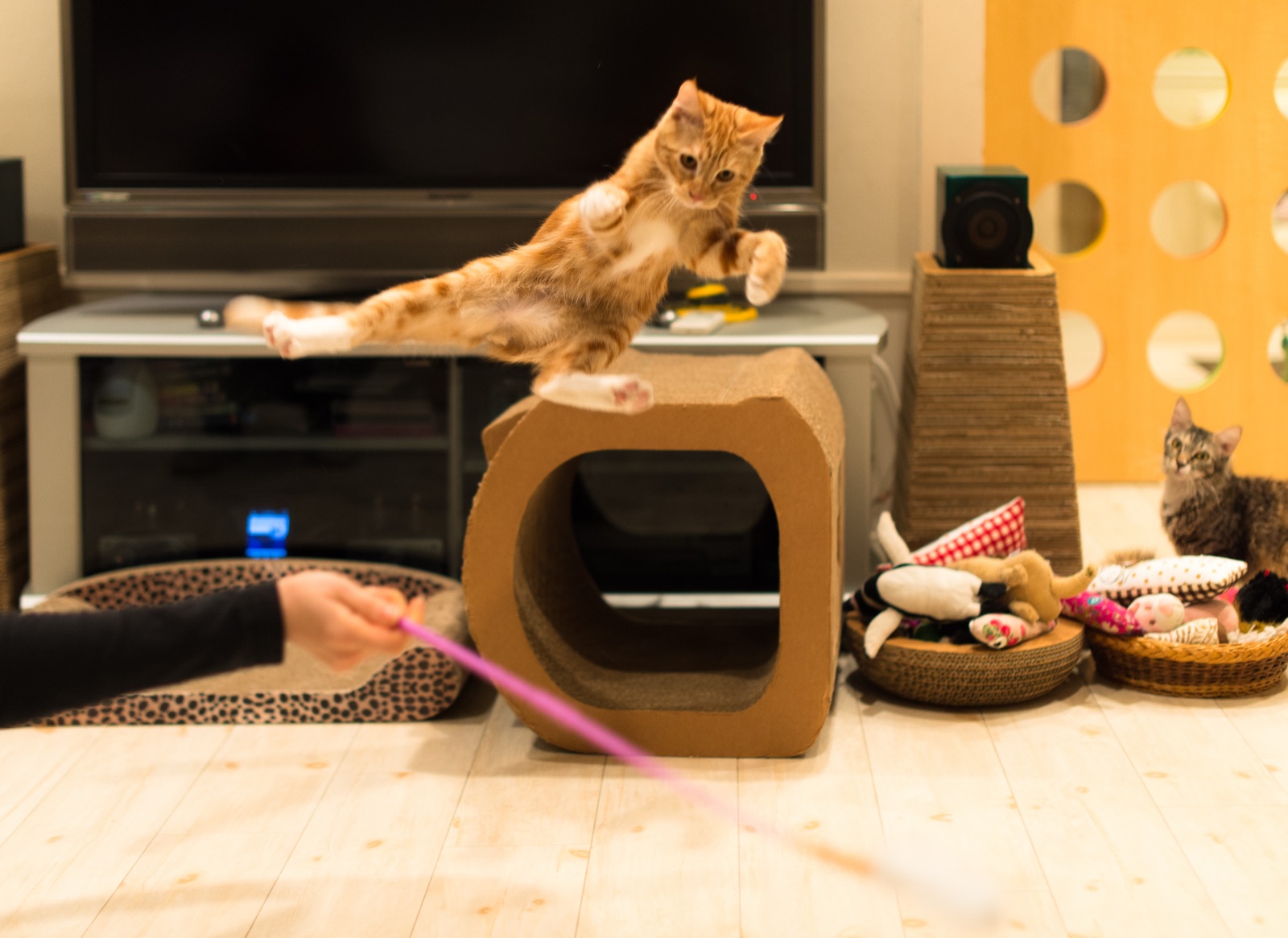 An orange tabby kitten leaping through the air with all four legs extended, mid-flight toward a cardboard cat tower in a living room
