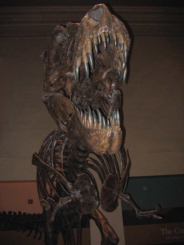 Tyrannosaurus Rex: What Science Actually Knows
