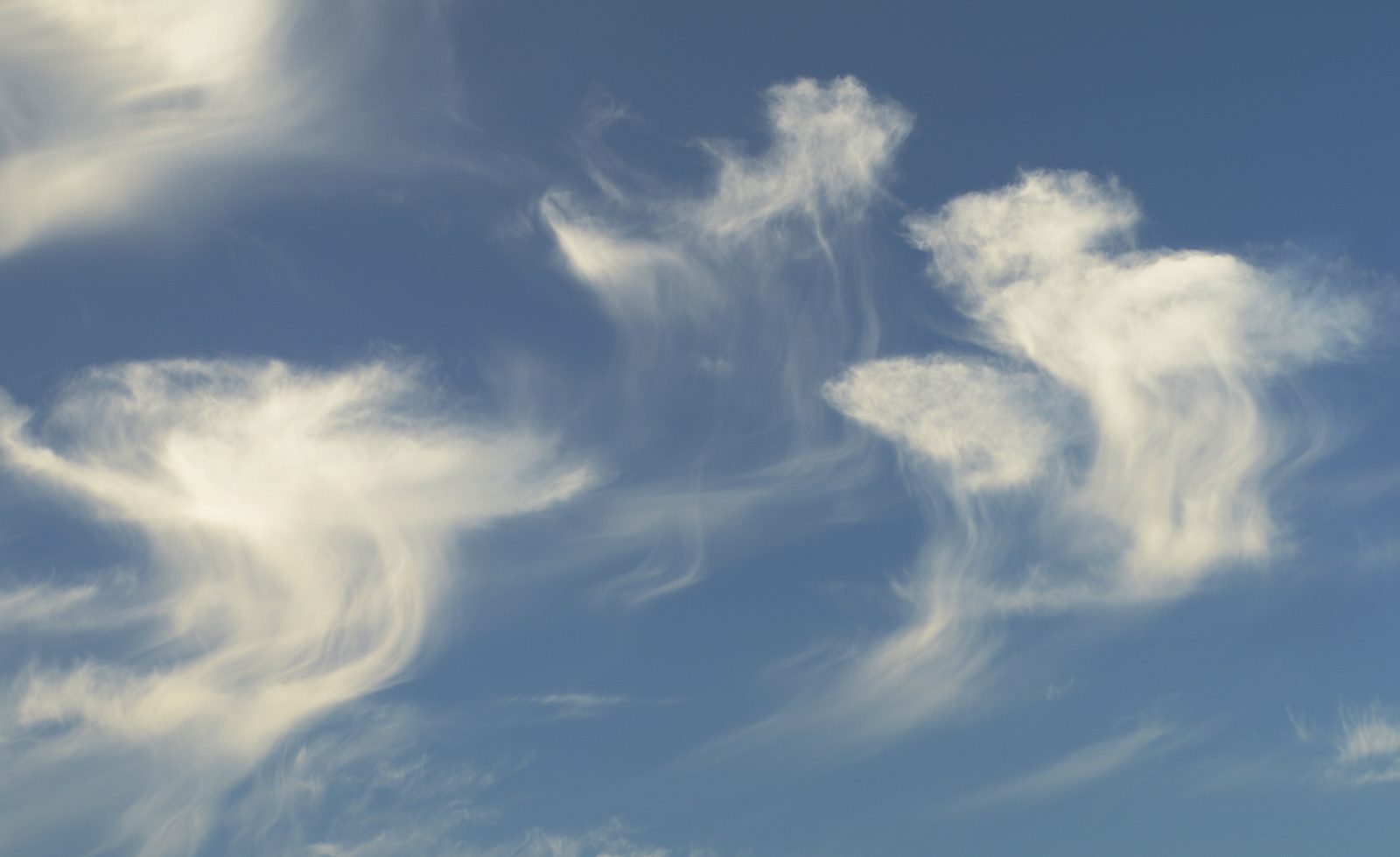 Dark, wispy streaks of virga hanging beneath altocumulus clouds over a forest landscape in Tyresta, Sweden, showing the trailing rain that evaporates before reaching the ground
