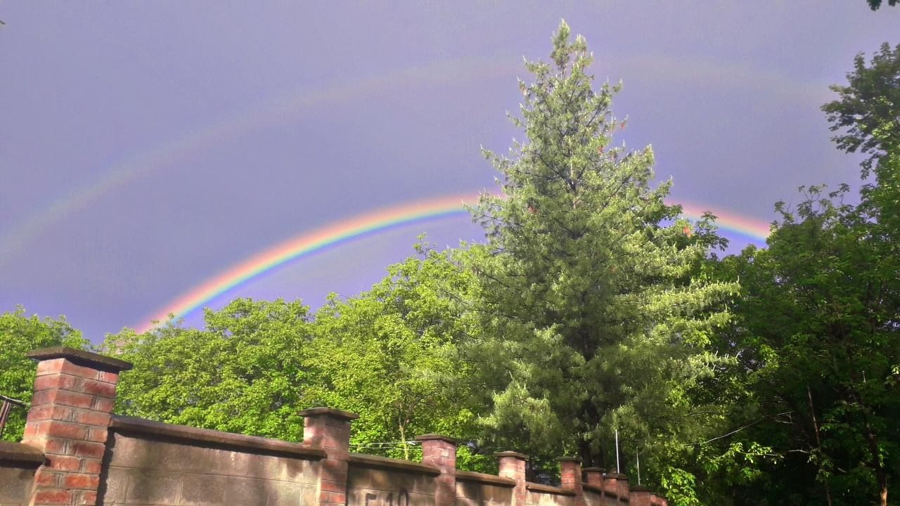 A double rainbow arching over green pine and deciduous trees and a brick wall in Srinagar, with a bright primary arc and a fainter secondary arc above it in a purple evening sky
